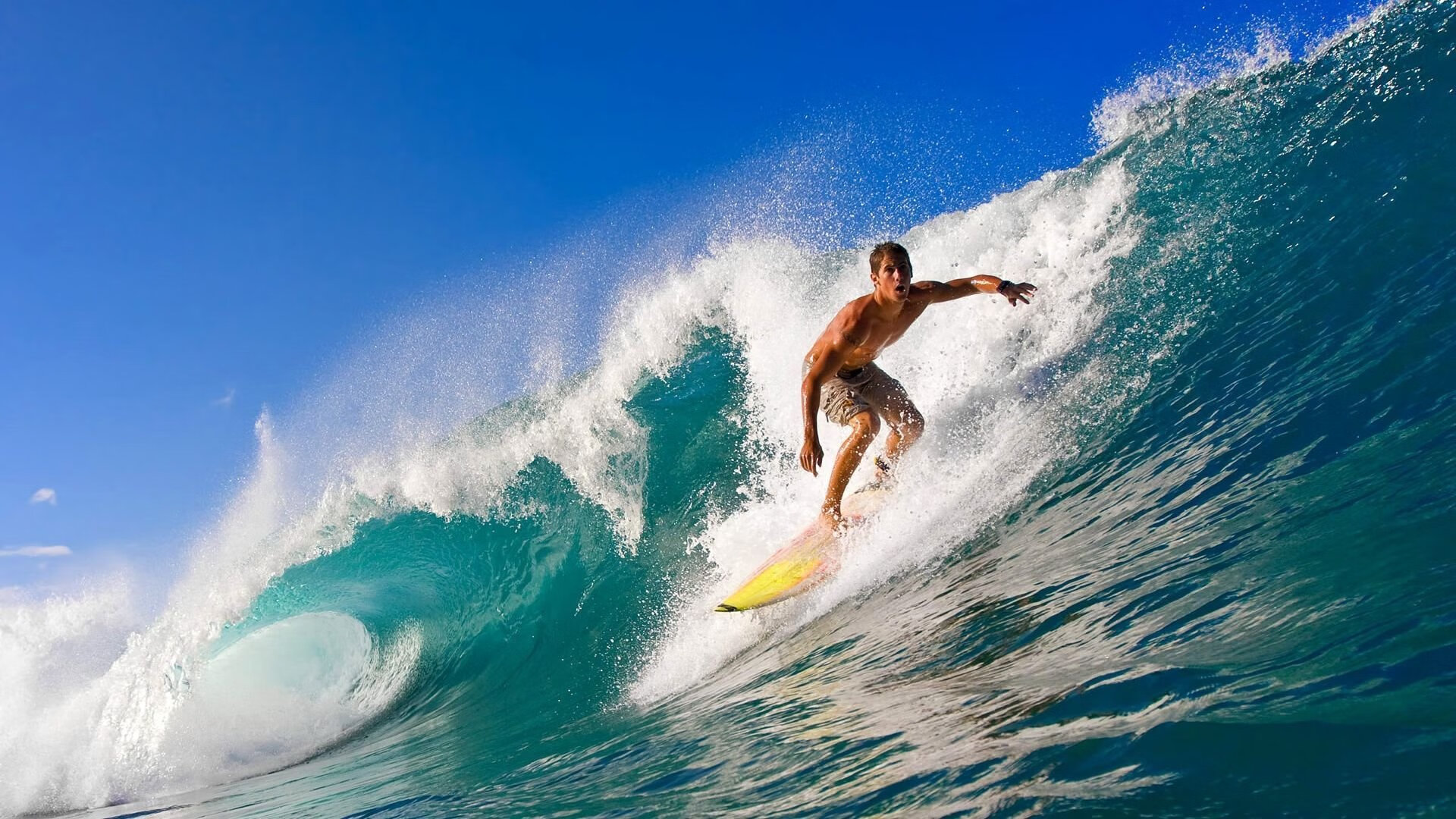 “未来之星：全国青少年足球冠军争霸赛圆满闭幕”，世界足球未来之星